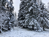 ØyvindBergkvam_20220127_61f2624969a72.jpg