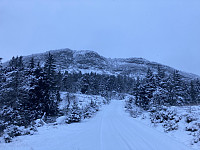 ØyvindBergkvam_20220127_61f266f8985ae.jpg