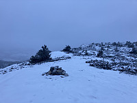 ØyvindBergkvam_20220127_61f266fb29ddd.jpg