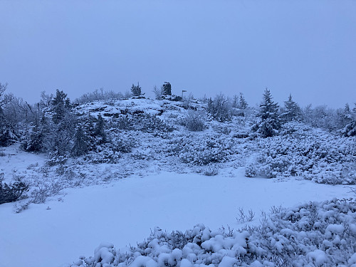 Toppenvarden i sikte