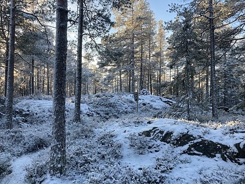 Varden på Nyfjellet sett fra utsiktspunktet