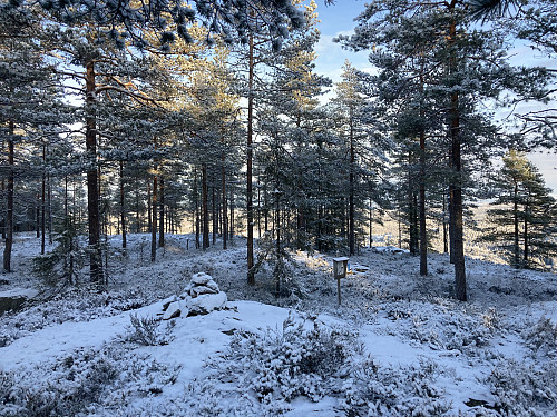 Nyfjellet i Eidskog med utsiktspunktet i bakgrunnen