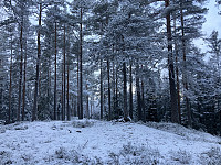 ØyvindBergkvam_20220127_61f27c82e3fe2.jpg