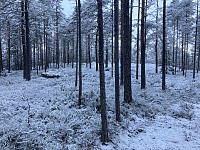 ØyvindBergkvam_20220127_61f27c8479a7c.jpg