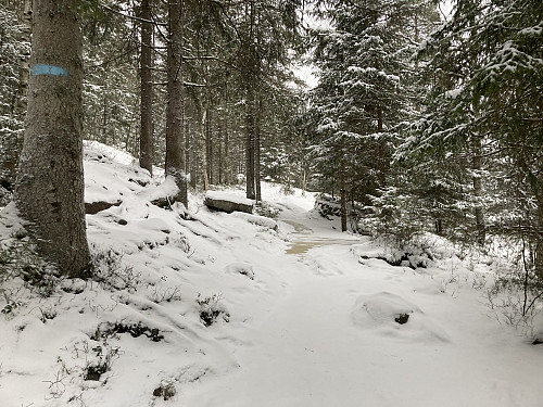 Det er god sti oppover til Fagervann, men med en del skulte issvuller på utsatte steder denne dagen!