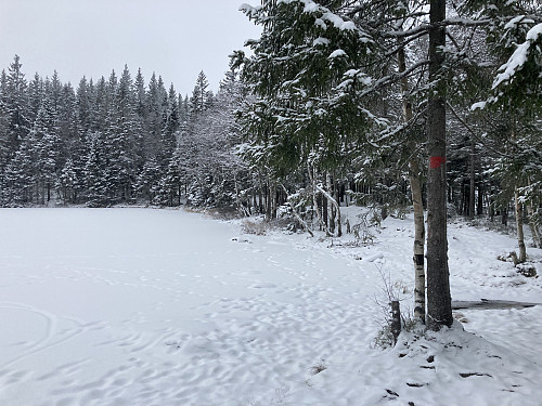 Ved Fagervann