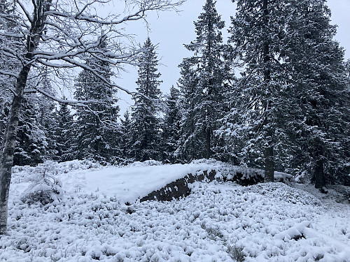 Stutehaugen i Oslo