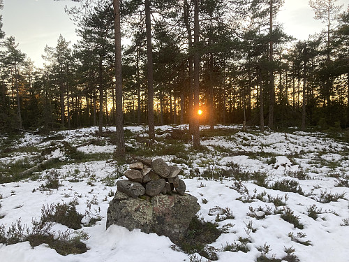 Toppen av Kjagelihøgda i solnedgang