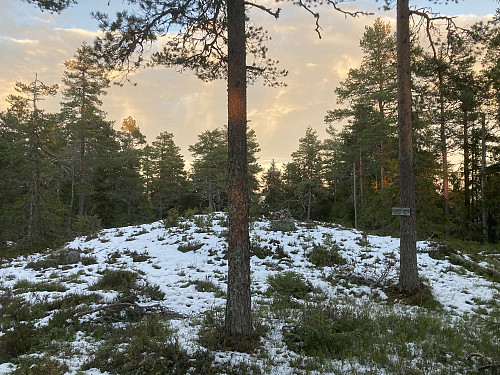 Kjagelihøgda i Sør-Odal