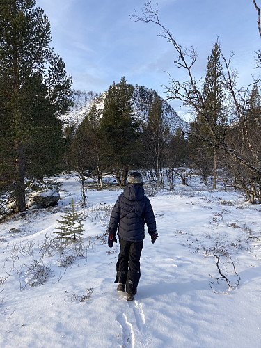 Kluftåthaugen i sikte