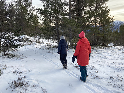 På vei tilbake, like ved Fugleskjellseter