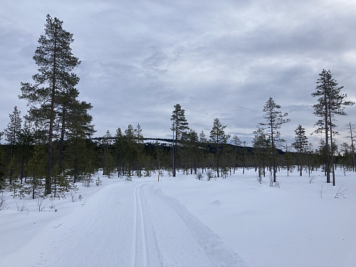 Fine løyper innover mot Bergesetra