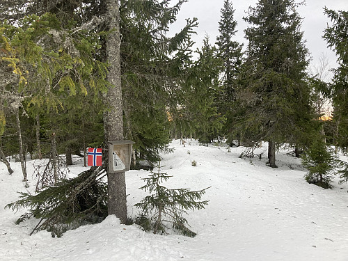Høgknøsen i Elverum