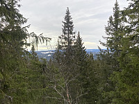 ØyvindBergkvam_20220325_623d8f30c746d.jpg