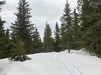 ØyvindBergkvam_20220325_623d8f31d6235.jpg