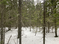 ØyvindBergkvam_20220325_623d8f334210a.jpg