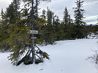 ØyvindBergkvam_20220325_623d8f34cf625.jpg