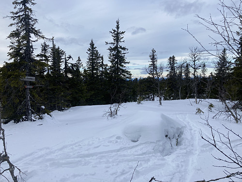 Skaftet i Elverum