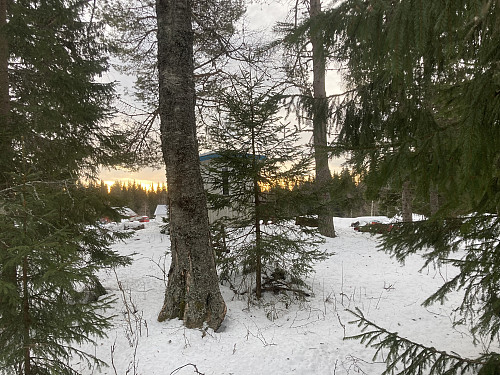 Skuret på toppen av Skuruberget