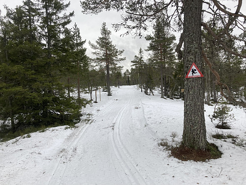 Så ingen av disse denne dagen :)