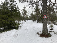 ØyvindBergkvam_20220329_62433ea3021cd.jpg