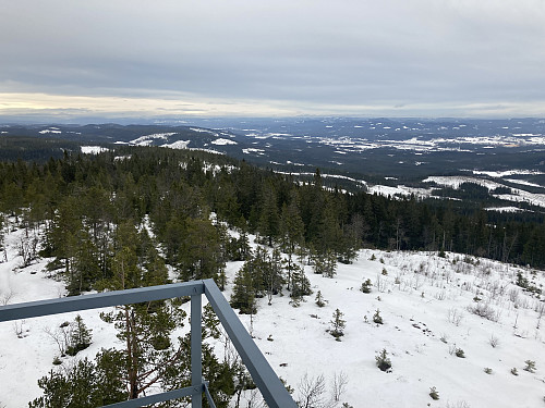 Utsikt nordover fra utsiktstårnet.