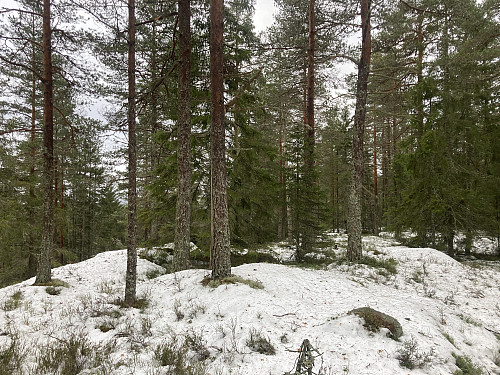 Kinnåsen Vest ligger like i nærheten av Bjønnehiet
