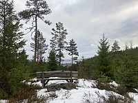 ØyvindBergkvam_20220329_62434e7e42415.jpg