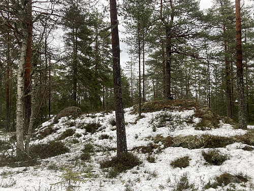 Kinnåsen i Lillestrøm