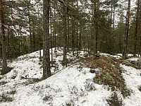 ØyvindBergkvam_20220329_62434e86dbbc8.jpg