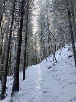ØyvindBergkvam_20220504_6272b5b8c779b.jpg