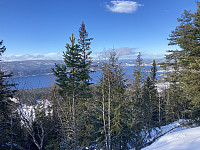 ØyvindBergkvam_20220504_6272b5bbae306.jpg