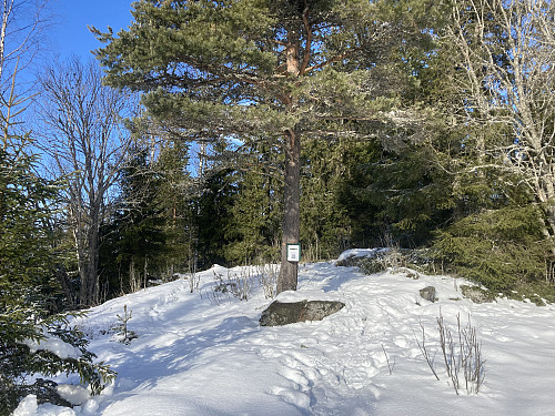 Brandbukampen i Gran kommune