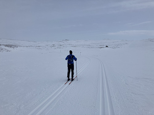 Turen opp til Hallingnatten på ski er en fin tur, men løypene er dessverre litt utsatt for vind og snøfokk