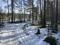 ØyvindBergkvam_20220522_6289d1d311c2d.jpg