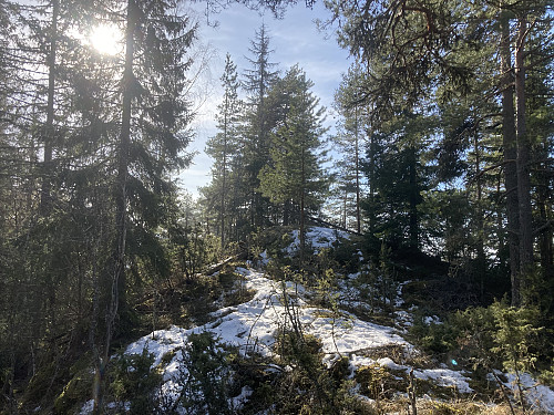 Snart på toppen av Torgunrudåsen i Lillestrøm