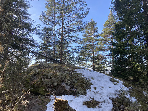 Torgunrudåsen i Lillestrøm