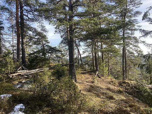 Rudskulen i Lillestrøm