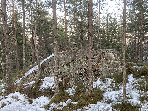 Toppunktet på Vanakleiva ligger like ved stien som går rundt Abbortjern