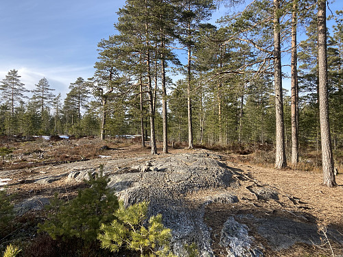 Toppunktet på Bergeråsen i Lillestrøm