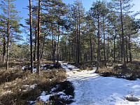 ØyvindBergkvam_20220522_628aa23d16fb0.jpg