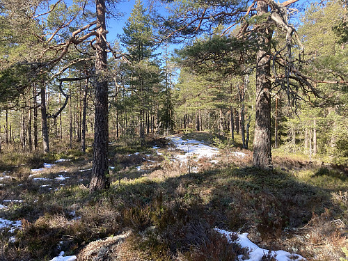 Høgesset i Nordre Follo