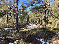 ØyvindBergkvam_20220522_628aa2411cceb.jpg