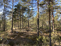 ØyvindBergkvam_20220522_628aa24b0ace7.jpg