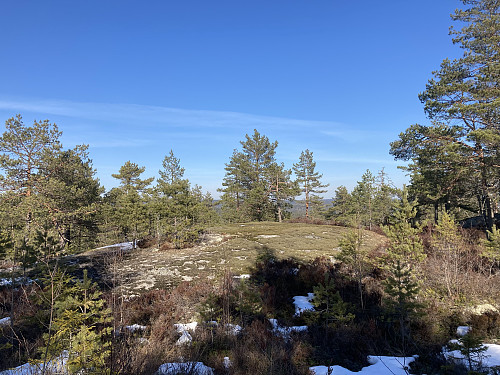 Kollerøysåsen 206 moh