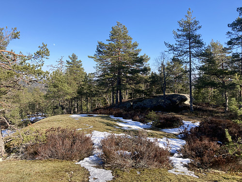 Kollerøysåsen i Nordre Follo