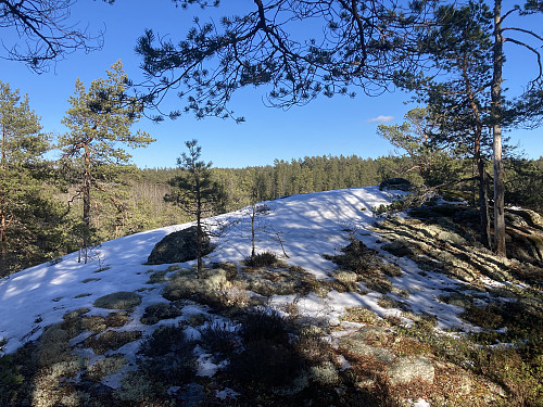 Fugleleiken i Marker