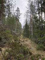 ØyvindBergkvam_20220627_62b9c65b4a0f3.jpg