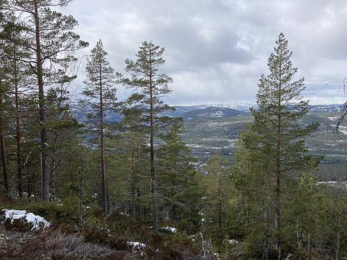 Utsikten begynner å gjøre seg gjeldende! Bildet er tatt noen hundre meter nedenfor toppen