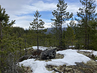 ØyvindBergkvam_20220627_62b9c82d6b744.jpg